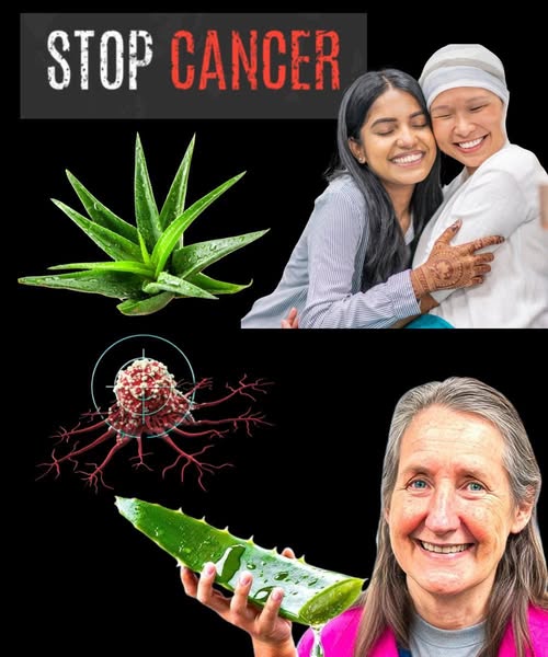 Beneficios del Aloe Vera para la Salud