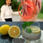 Come Esto para Restaurar el Cartílago de la Rodilla: Remedios Naturales Efectivos