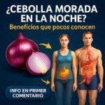 Beneficios de la Cebolla Morada por la Noche: Salud y Bienestar