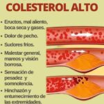 Síntomas del Colesterol Alto que Debes Conocer y Cómo Combatirlo Naturalmente