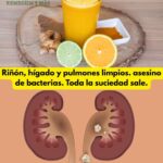 Limpiando el Cuerpo: Remedios Naturales para Riñones, Hígado y Pulmones