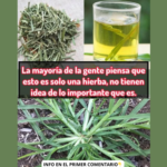 El Poder Escondido de Esta Hierba: Recetas y Beneficios para la Salud