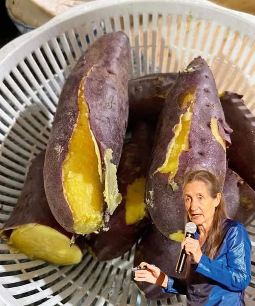 Batatas cocidas