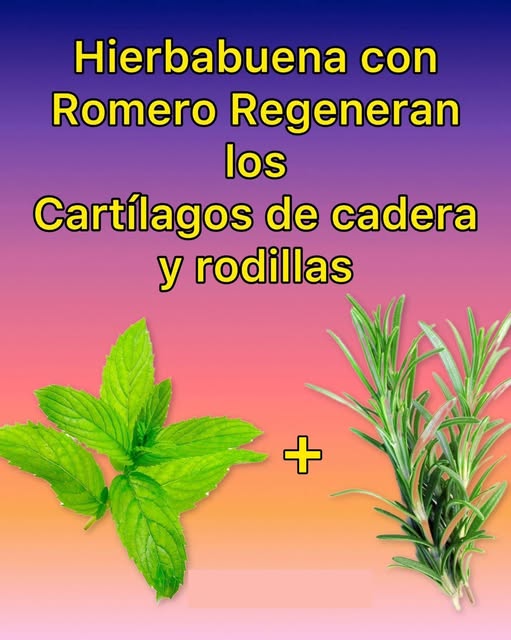 Hierbabuena y Romero