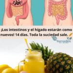 ¡Revitaliza Tu Salud! Limpieza Intestinal y Hepática en 14 Días