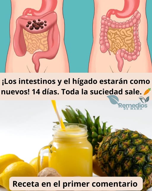 Limpieza Intestinal y Hepática