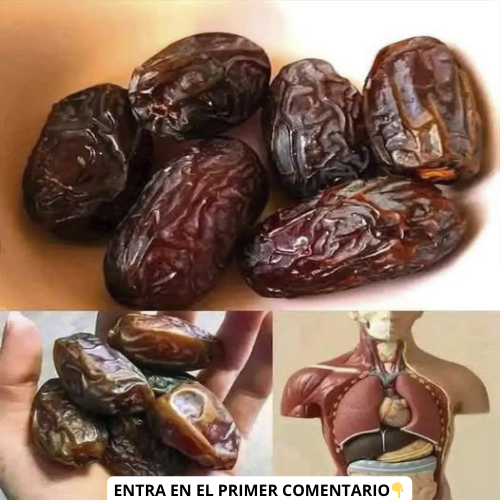 Dátiles y beneficios para la salud