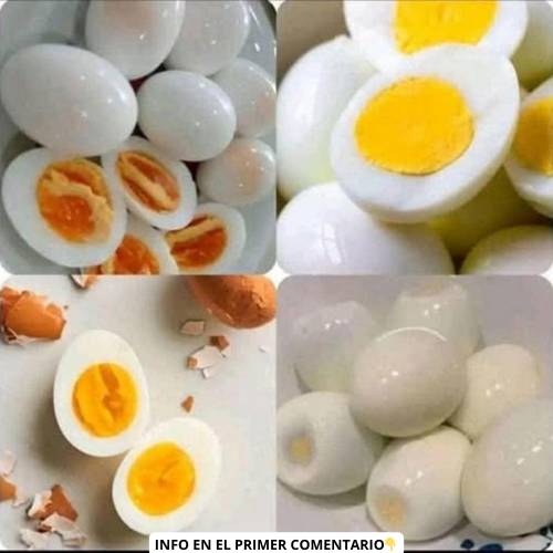 Tipos de huevos hervidos
