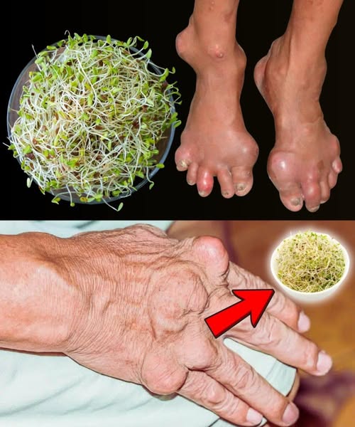 Brotes verdes beneficiosos para la salud