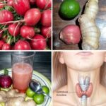 Rábanos, Jengibre y Miel: Superalimentos para la Salud de tus Tiroides y Vesícula