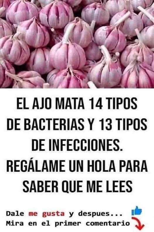 Bulbos de ajo