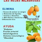 Hojas Milagrosas: Remedios Naturales para Mejorar tu Salud