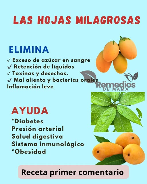 Hojas Milagrosas