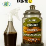El Tónico Natural que Promueve el Crecimiento del Cabello