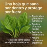 El Llantén: Un Remedio Natural con Múltiples Beneficios para la Salud