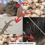 El Ajo: Tu Arma Letal para el Hogar y la Salud