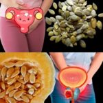 El Secreto de los Riñones de Acero: Beneficios de las Semillas de Calabaza para la Salud