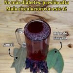 Té Natural Contra la Diabetes y la Presión Alta: Descubre la Receta del Dr. Frank Suárez