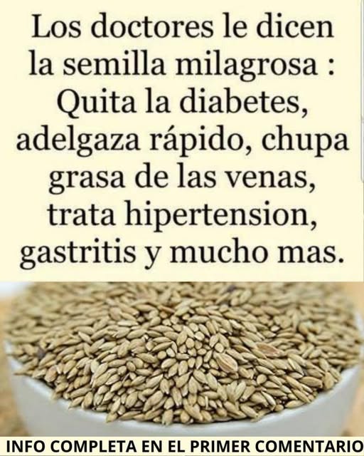 Semilla milagrosa en cuenco