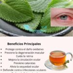 Descubre el Oro Natural: Beneficios de una Planta Común para la Salud Ocular
