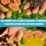 Receta Natural para Mejorar la Circulación y Controlar la Diabetes