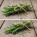 El Poder del Romero: Cultivo, Beneficios y Recetas Caseras