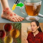 5 Tés para Diabéticos que Reducen el Azúcar en Sangre
