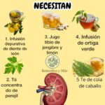 5 Bebidas Naturales para el Cuidado de tus Riñones