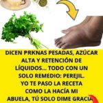 Cómo Regular el Azúcar de Sangre con Hojas de Perejil: Un Remedio Natural