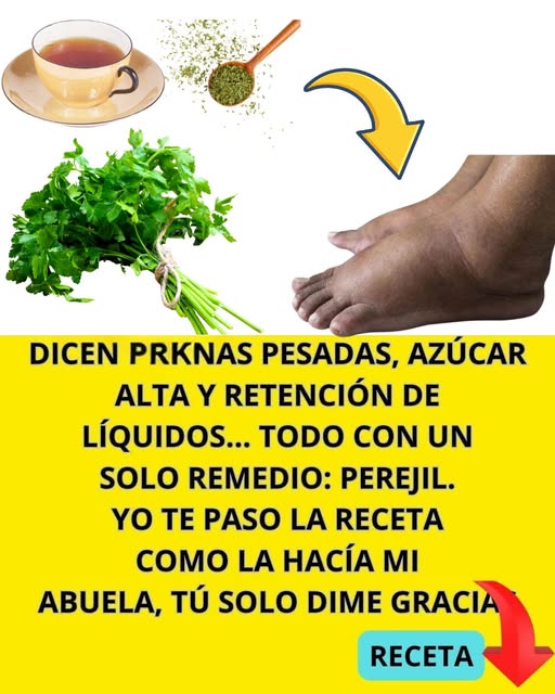 Infusión de perejil