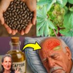 6 Poderosas Razones para Usar Aceite de Ricino Antes de Dormir Después de los 30