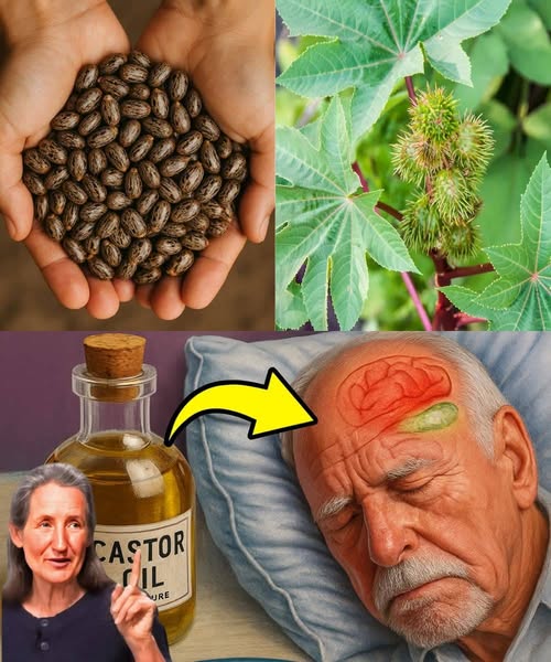 Aceite de ricino y su uso potencial