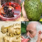 La Bebida Milagrosa que Transformará Nuestra Salud en 2025