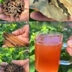 Infusión Natural: Elixir para Combatir la Hinchazón Abdominal y Mejorar la Salud Digestiva