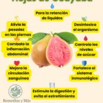 Beneficios y Usos de las Hojas de Guayaba para la Salud
