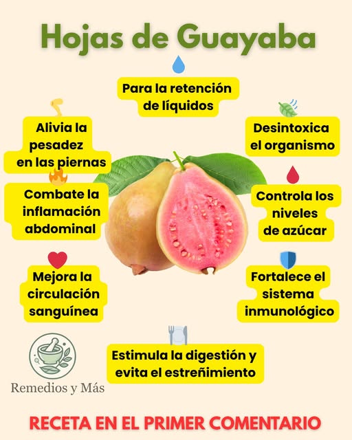 Hojas de Guayaba y Frutas
