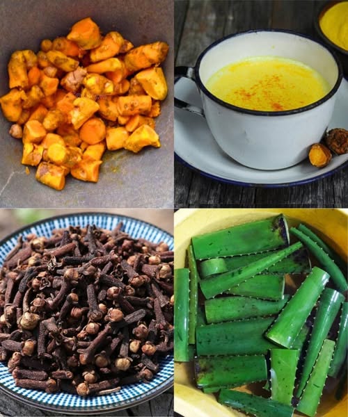 Ingredientes naturales para una bebida saludable