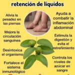 Las Hojas de Guayaba: Tu Solución Natural para la Retención de Líquidos