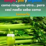 El Poder del Apio: La Planta que Purifica Sangre, Piel y Órganos Vitales