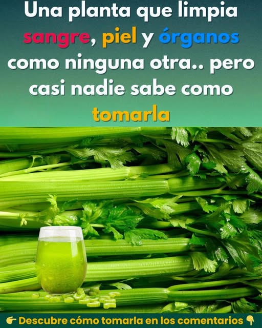 Jugo verde de apio