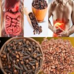 Cómo Eliminar los Parásitos Intestinales con Remedios Naturales: Clavos de Olor y Semillas de Lino