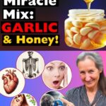 9 Beneficios Ocultos del Ajo y la Miel por la Noche