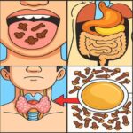 Los Increíbles Beneficios del Clavo de Olor: Salud Digestiva y Más