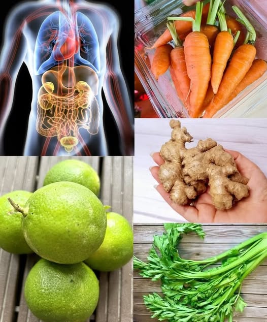 Ingredientes Naturales para una Limpieza Saludable