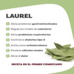 Descubre los Beneficios del Té de Hojas de Laurel para tu Salud