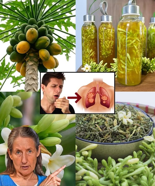 Beneficios de las flores de papaya