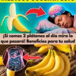 Los Sorprendentes Beneficios de Comer Solo Dos Plátanos al Día