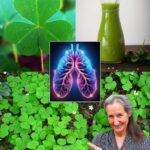 Beneficios de la Acedera Silvestre y el Trébol: Remedios Naturales para la Salud Respiratoria