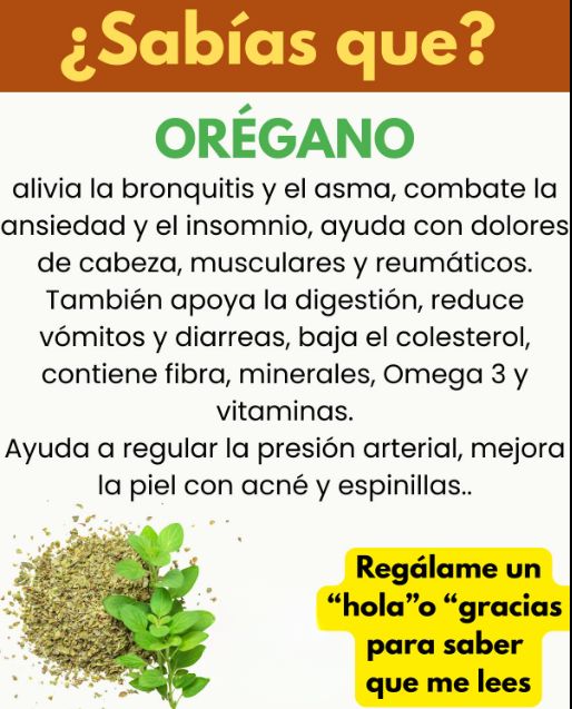 Orégano y sus beneficios