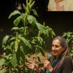 La Ortiga al Descubierto: 17 Remedios Extraordinarios para Transformar tu Salud de Forma Natural